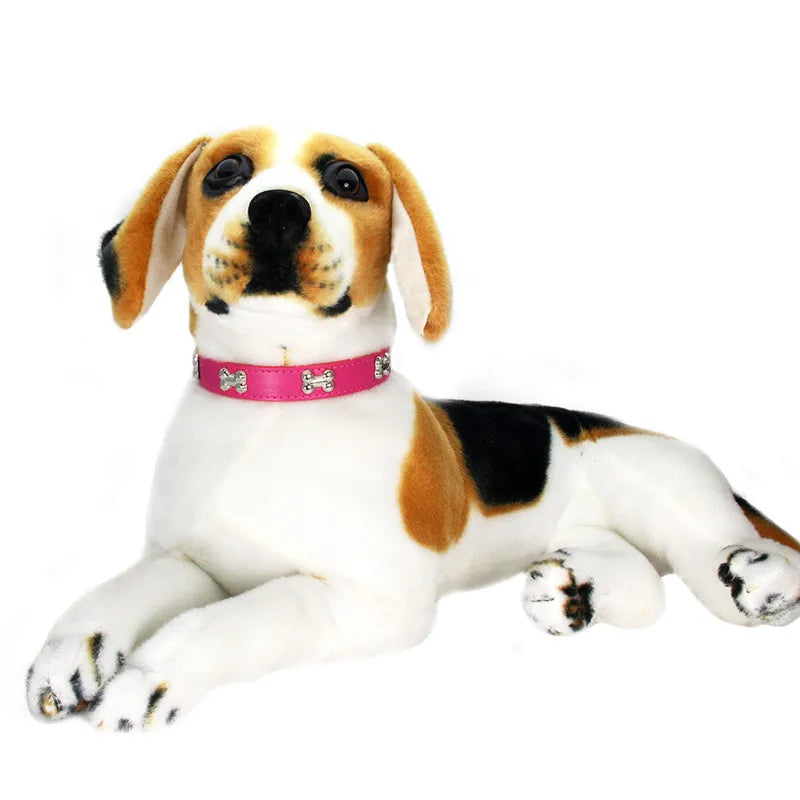 Premium Adjustable Dog Collar